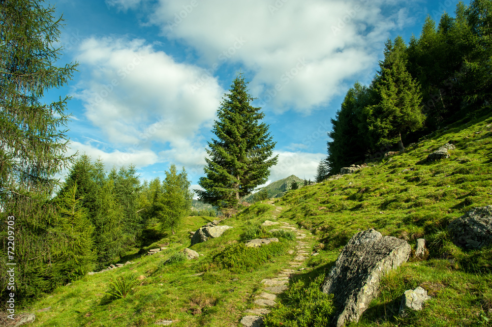 Fototapeta premium Mountain landscape