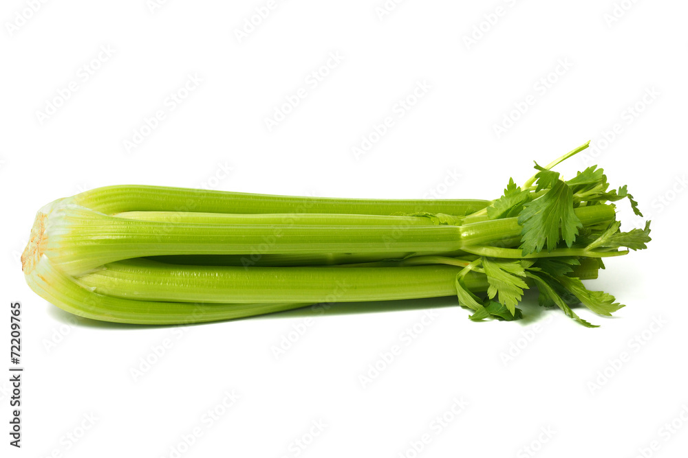 Celery on White Celery on White