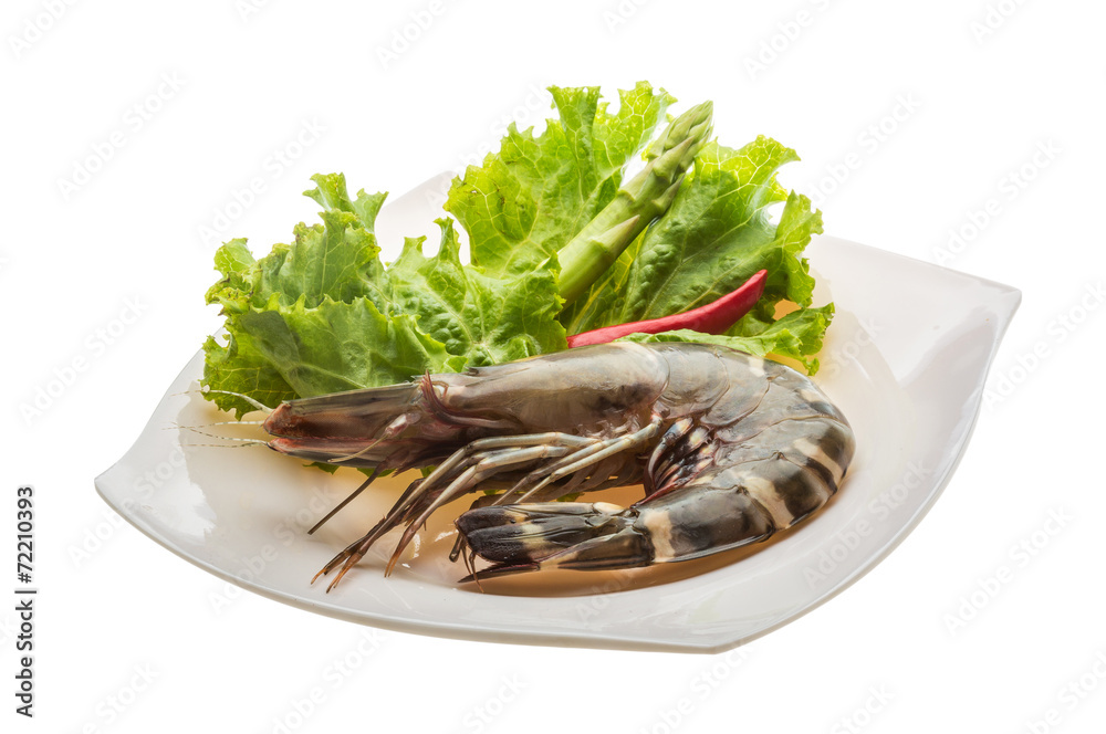 Tiger prawn Tiger prawn