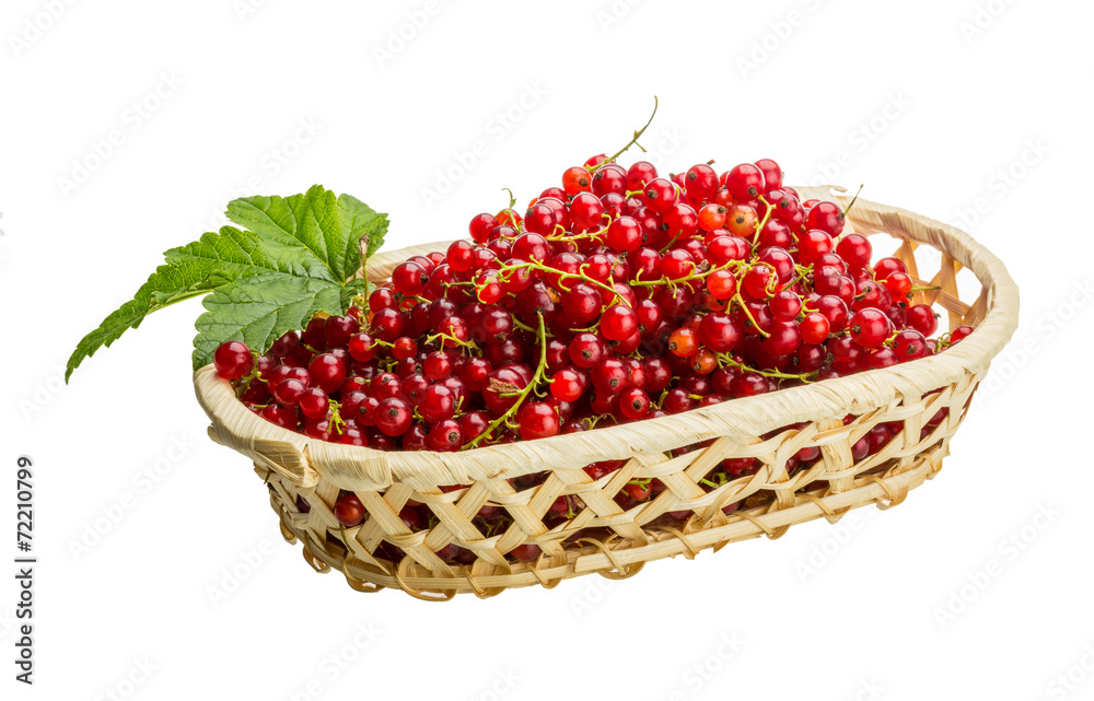 Red currant Red currant