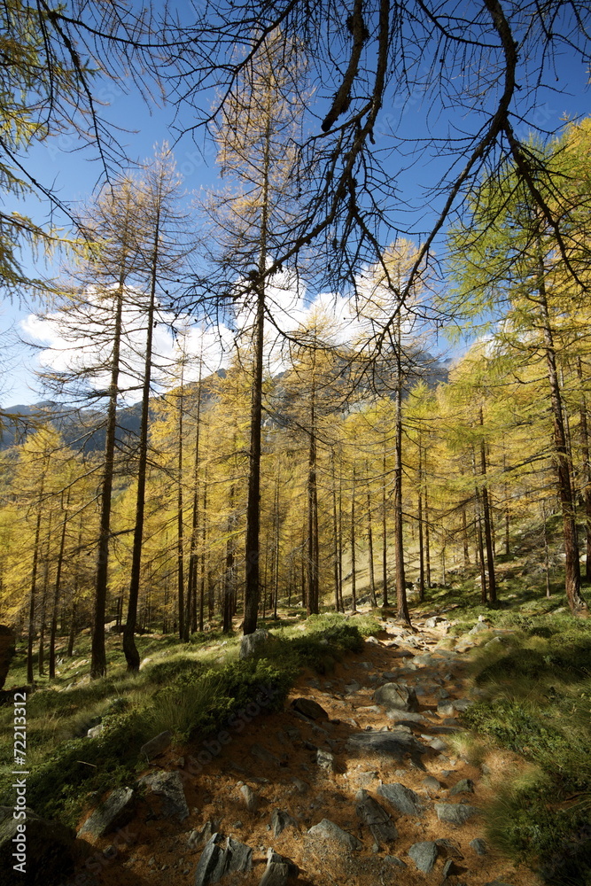 Autunno in Val d'Ayas