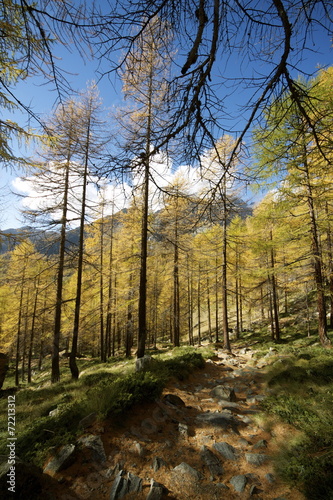 Autunno in Val d Ayas