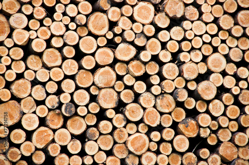 Holzstapel