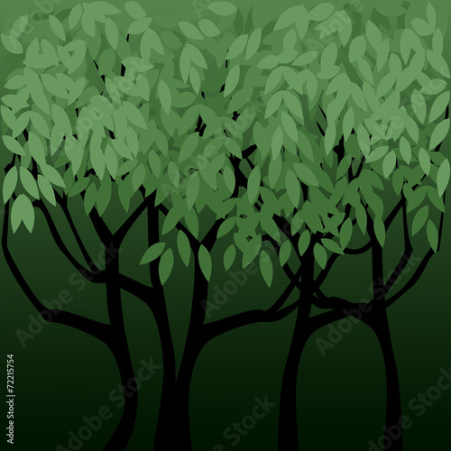 In The Shadow Of Trees Background