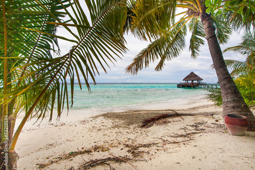 Rest in Paradise - Malediven - Strand und Palmen