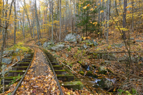 Old Logging Train Tracks. Blue Ridge Mountains