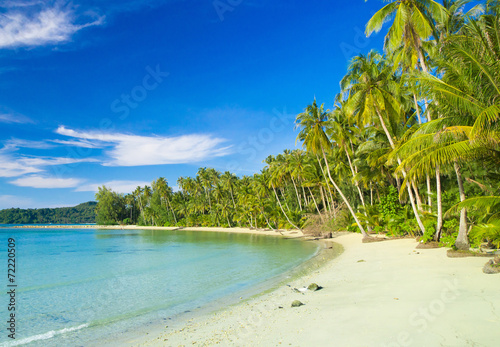 Fototapeta Naklejka Na Ścianę i Meble -  Coconut Coast Exotic Paradise
