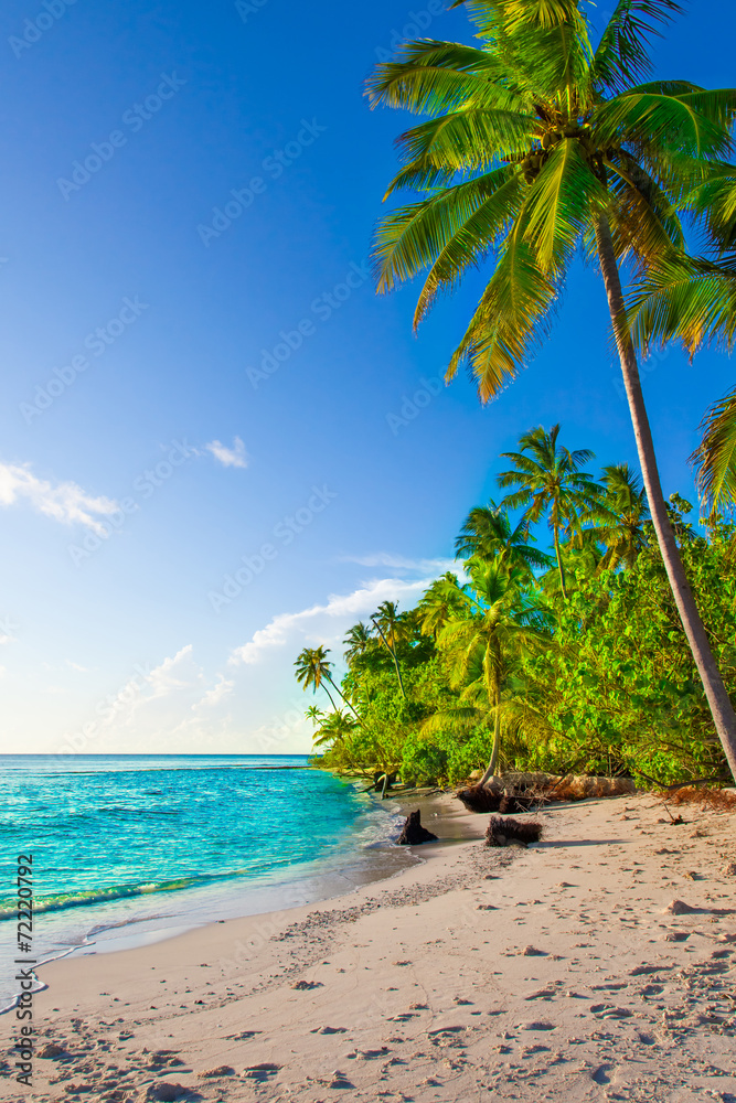 Obraz premium Rest in Paradise - Malediven - Himmel, Strand und Palmen