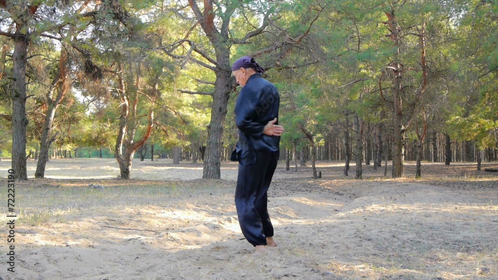 Rem Plugatar.Master of wushu,wu hsing from Ukraine Rem Plugatar.Master of wushu,wu hsing from Ukraine