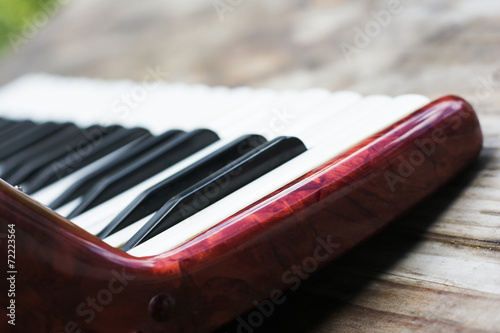 Keyboard of accordian photo