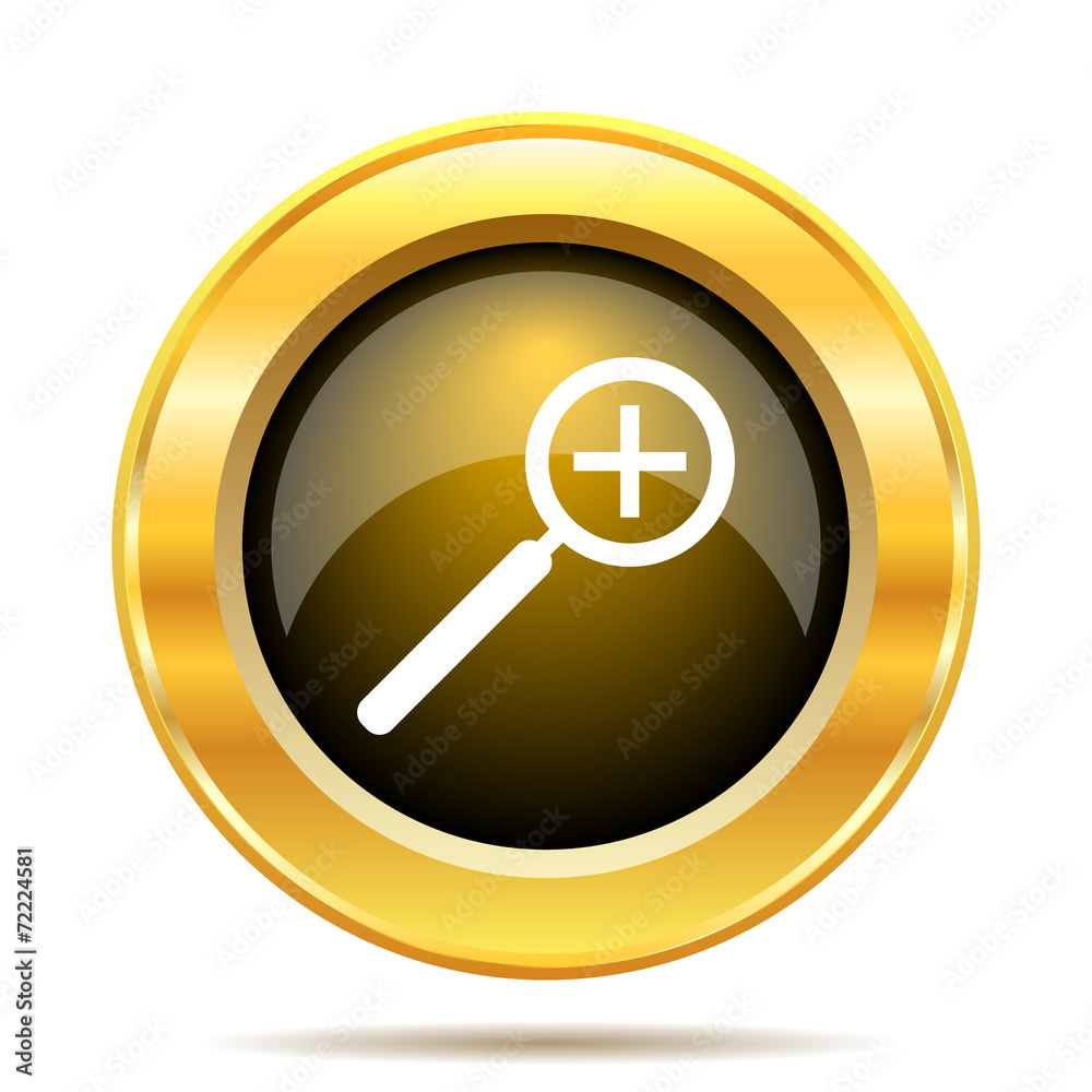 Zoom in icon Zoom in icon