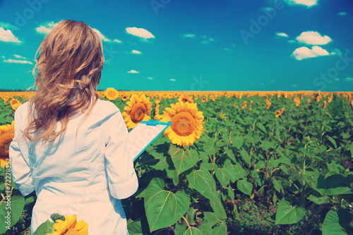 Fototapeta Naklejka Na Ścianę i Meble -  Agronomist with folder in sunflowers field