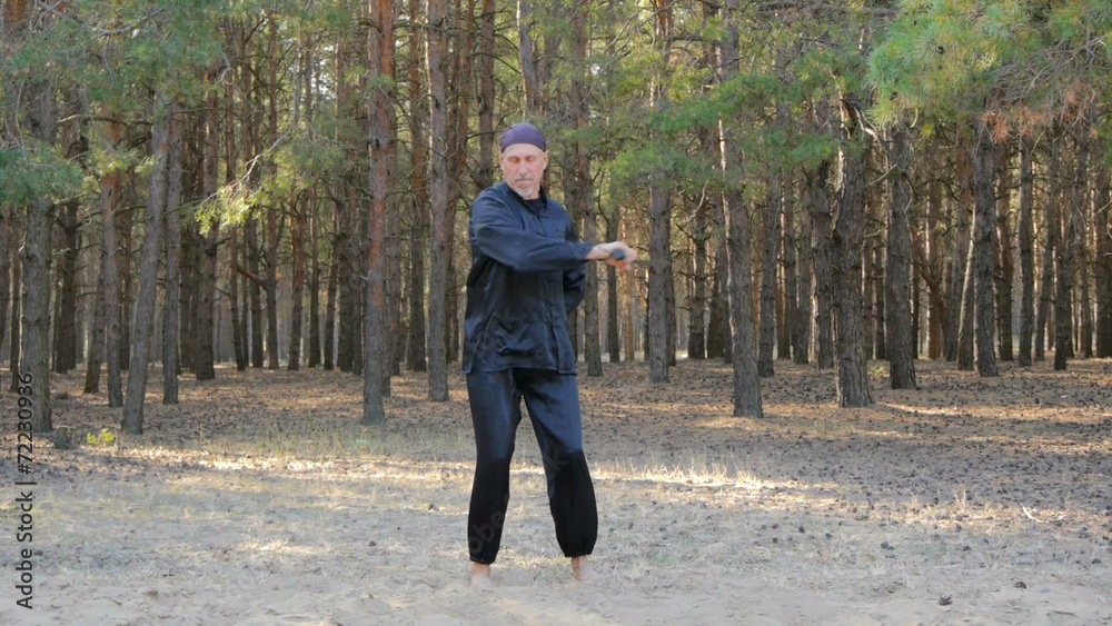 Rem Plugatar.Master of wushu,wu hsing from Ukraine Rem Plugatar.Master of wushu,wu hsing from Ukraine