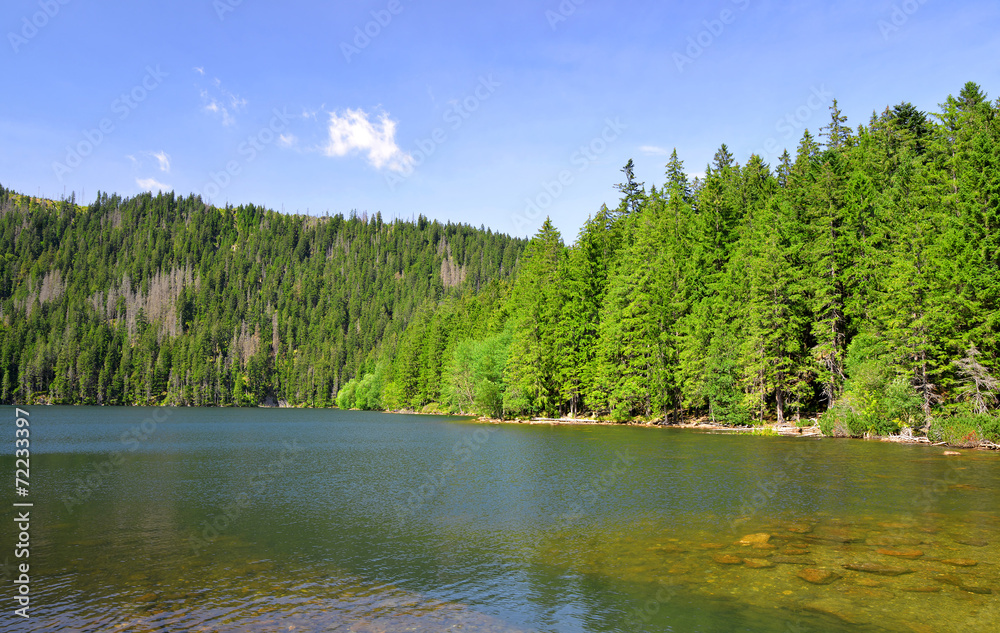 Black Lake in the National park Sumava,Czech republic