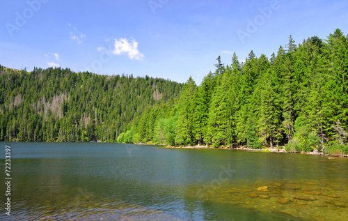 Black Lake in the National park Sumava Czech republic