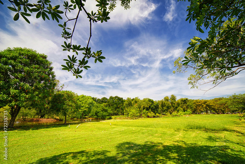 Fototapeta Naklejka Na Ścianę i Meble -  City park with green lawn and some trees
