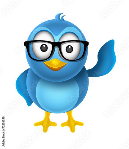 bird