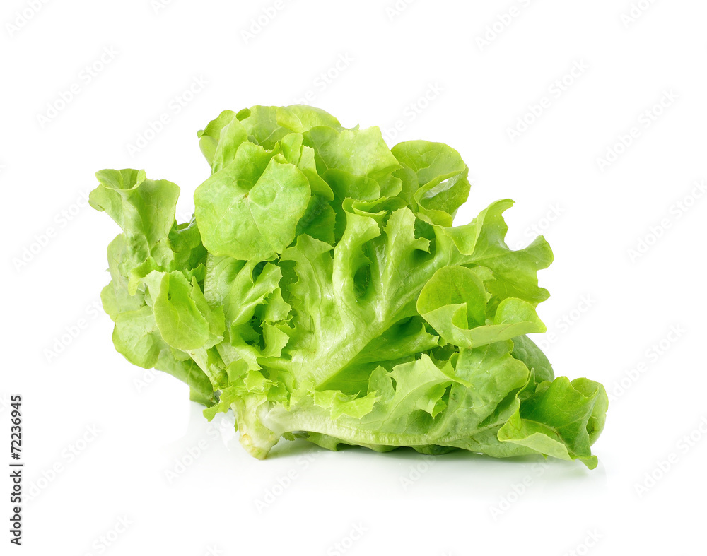 fresh green lettuce leaves isolated on white fresh green lettuce leaves isolated on white