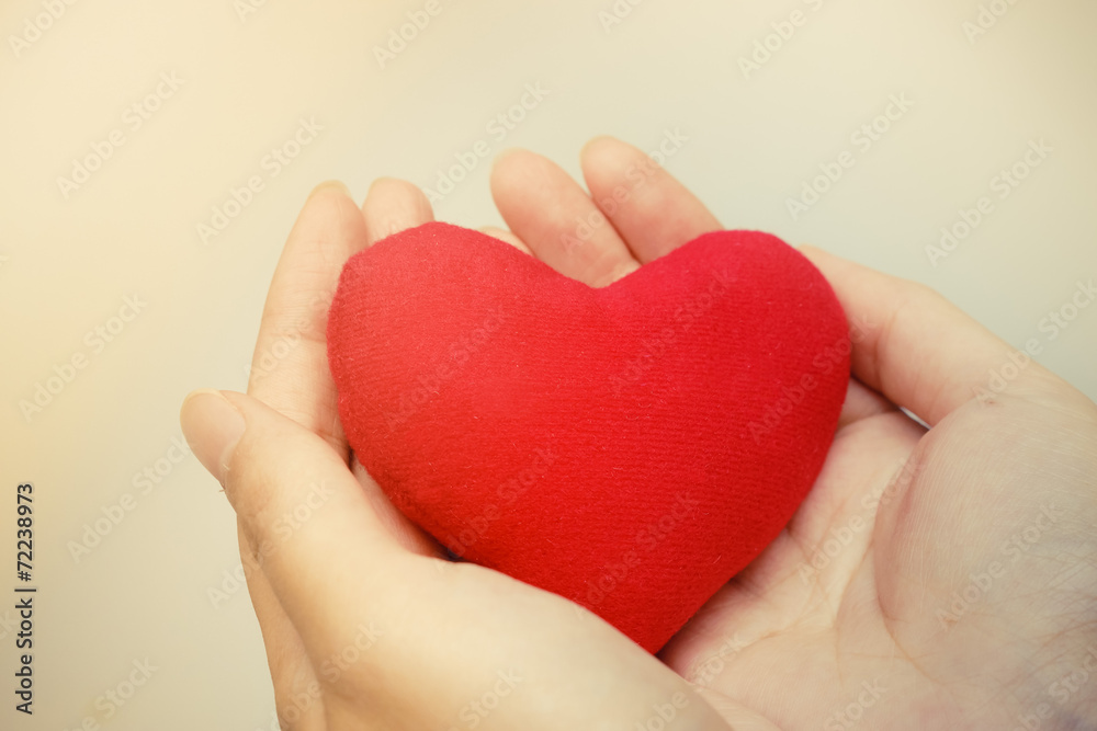 Fototapeta premium hands holding a red heart