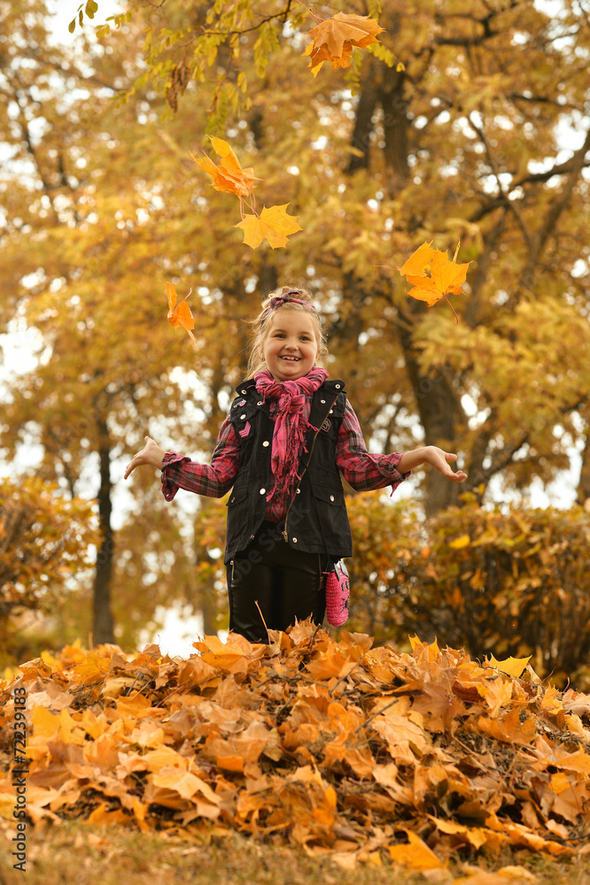 girl in an autumn park girl in an autumn park