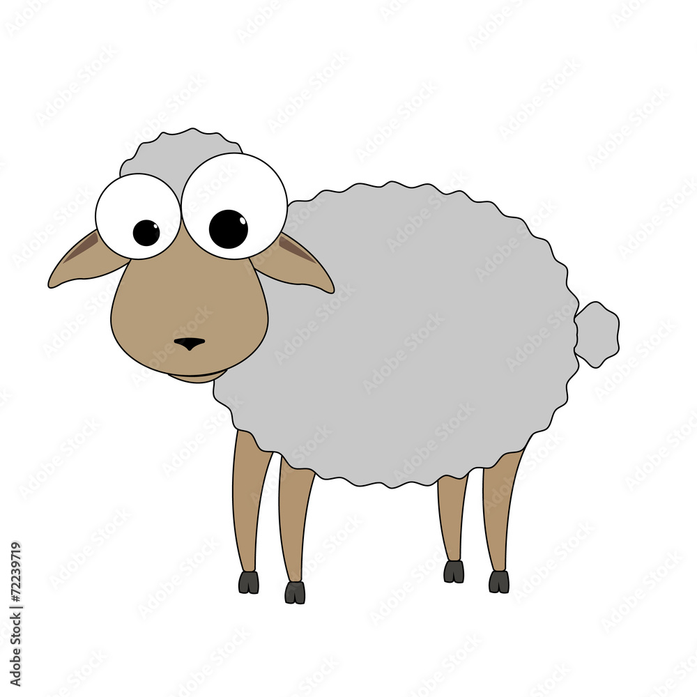 sheep