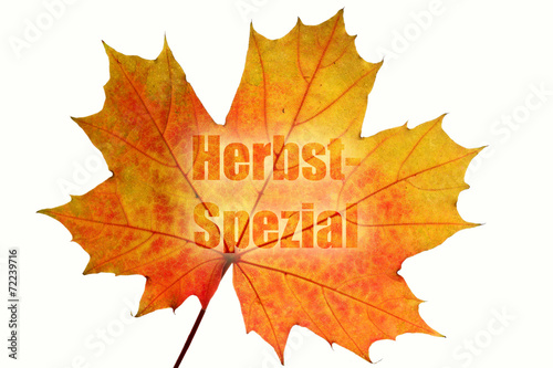 Herbst-Spezial photo