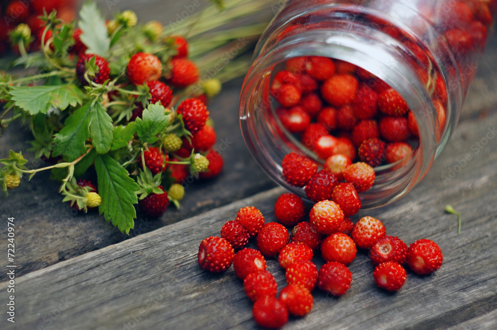 Composition with berries of wild strawberry Composition with berries of wild strawberry