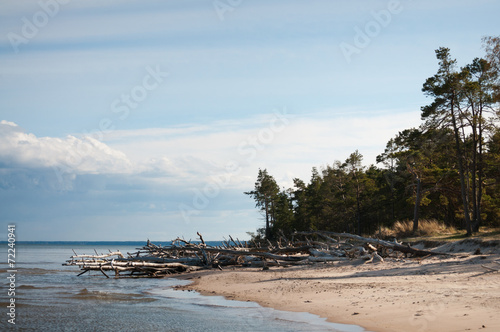 Baltic