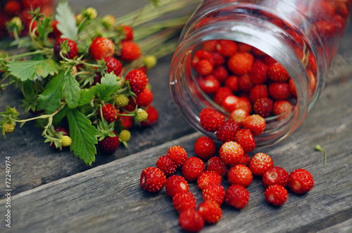 Composition with berries of wild strawberry