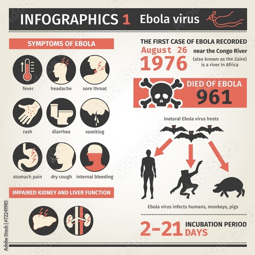 Infographics. Ebola virus. Symptoms deaths. photo