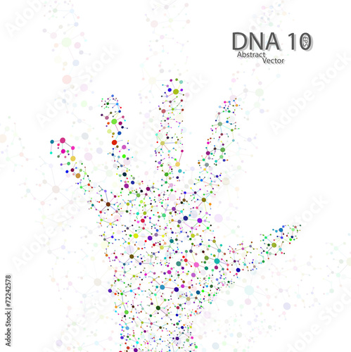Molecular structure in the form of hand