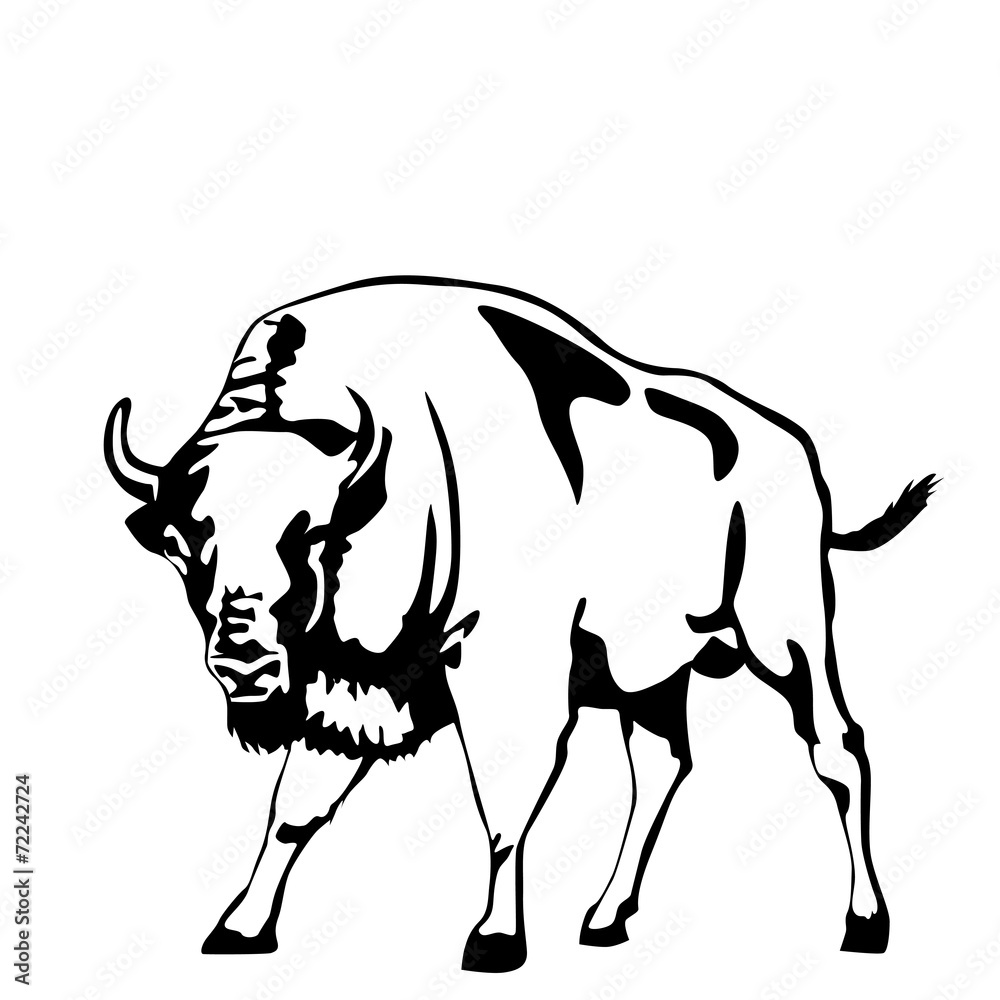 black and white aurochs vector illustration black and white aurochs vector illustration