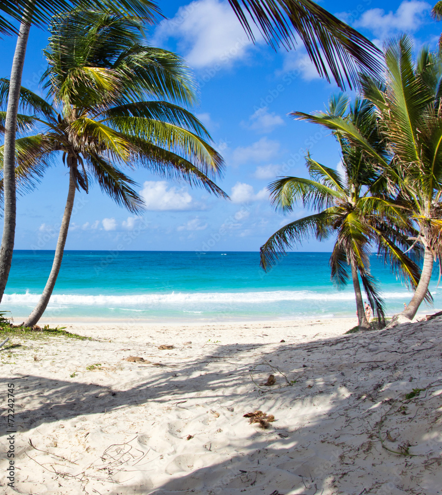 tropical sea tropical sea