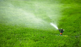 automatic watering lawn