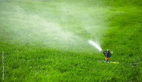 automatic watering lawn