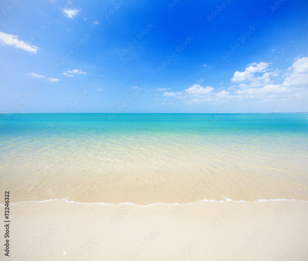 beach and tropical sea