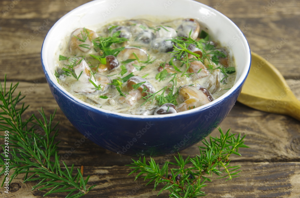 cream soup with boletus cream soup with boletus