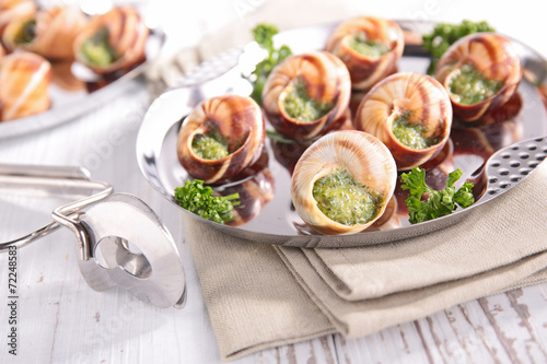 Fototapeta Naklejka Na Ścianę i Meble -  bourgogne snail, french gastronomy