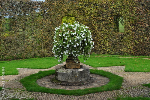 Fontaine de fleurs