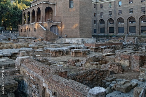 Roma, area sacra di S. Omobono