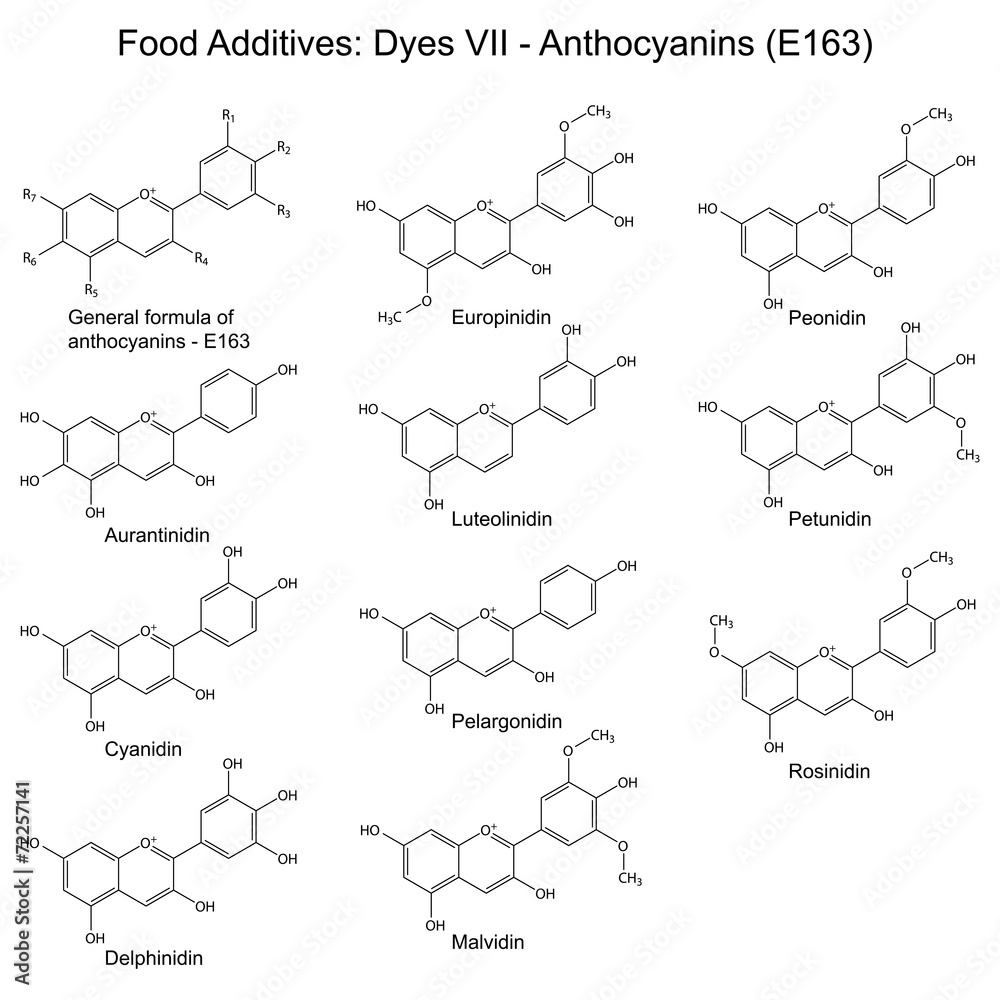 Structural formulas of food additives - anthocyanins Structural formulas of food additives - anthocyanins
