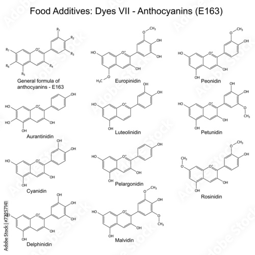 Structural formulas of food additives - anthocyanins photo
