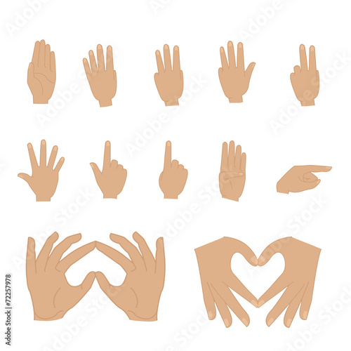 Counting Hands Set - Isolated On White Background