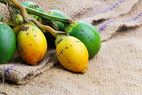 Betel nut fresh betel palm, Areca palm (Areca catechu Linn.) photo