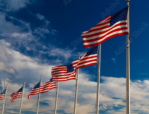 Row American Flags, Washington DC,USA