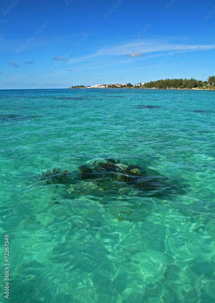 a green tropical sea, with a reef visible below the surface