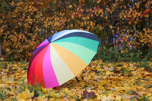 Colorful multicolored umbrella on yellow autumn leaves