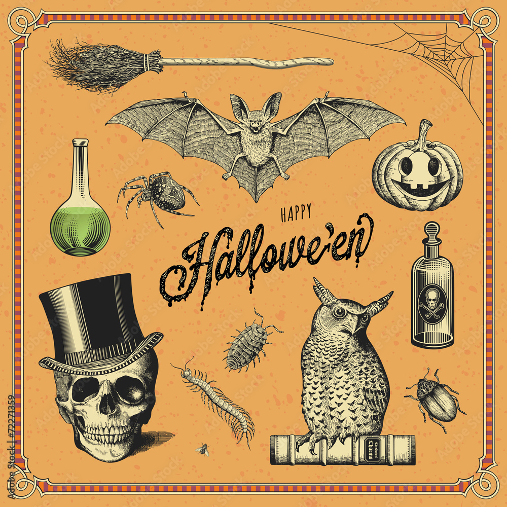 Fototapeta premium hand-drawn Halloween design elements