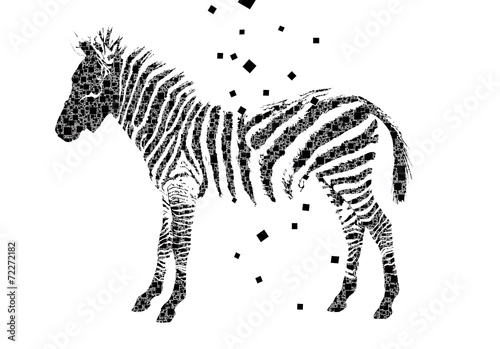 Geometric figure zebra