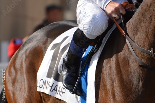 cheval de course